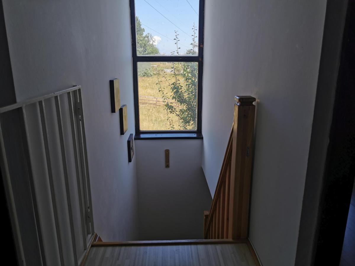 Vila Hajdi Planina Tara Bajina Basta Exterior foto